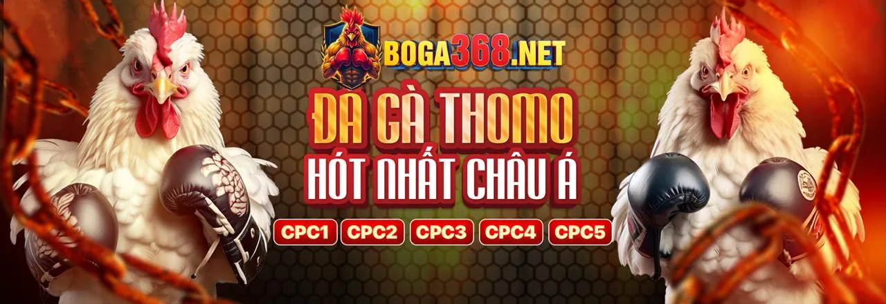Phương Thức Thanh Toán An Toàn tại 7ball login