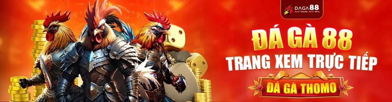Đấu trường đá gà trực tuyến kịch tính tại 7ball login